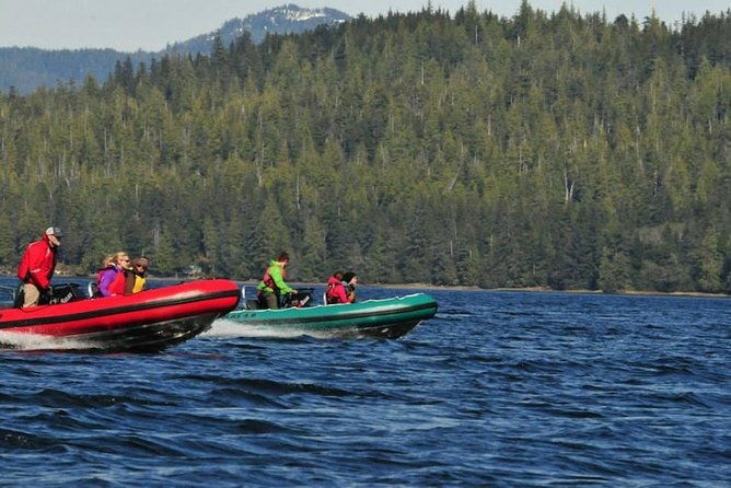small-group-zodiac-wilderness-adventure-from-ketchikan