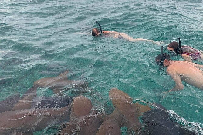 snorkel-holchan-shark-ray-alley-and-caye-caulker-manatee-spotting