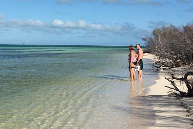 snorkel-sandbar-dolphin-excursion