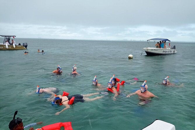 snorkeling-at-hol-chan-marine-reserve-shark-ray-alley-3-0-hrs
