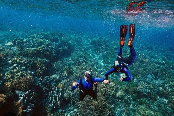 snorkeling-water-private-activity-in-montego-bay-jamaica