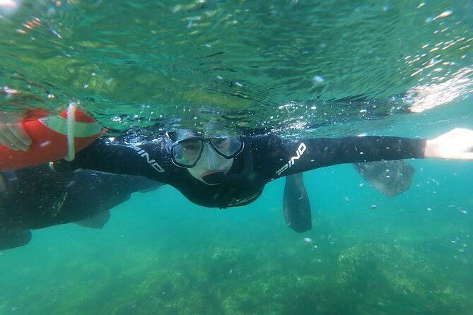 snorkeling-with-sea-lions-and-wildlife-adventure