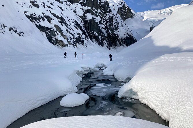 snowmobile-and-snowshoe-dual-adventure-in-kenai-fjords-np