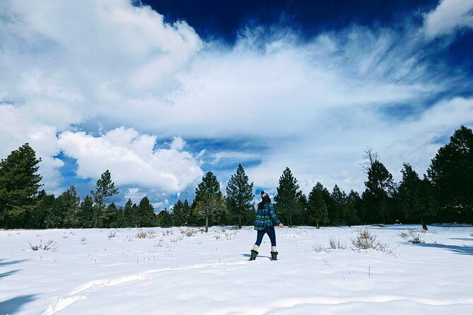 snowshoe-tour-big-bear-lake-with-hot-chocolate