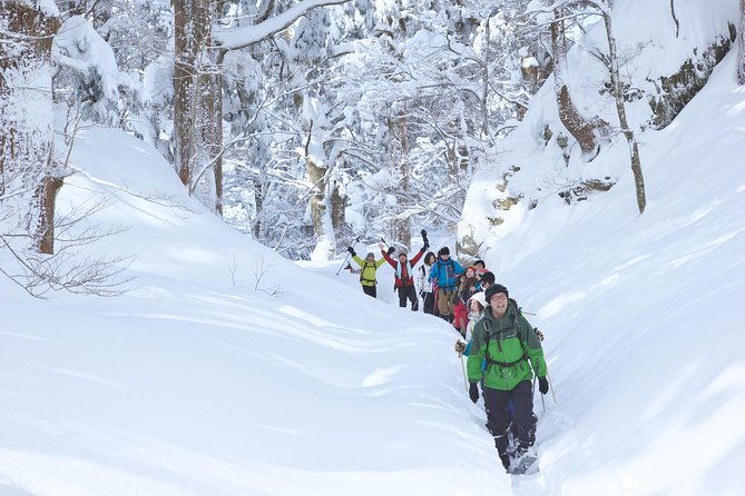 snowshoe-tour
