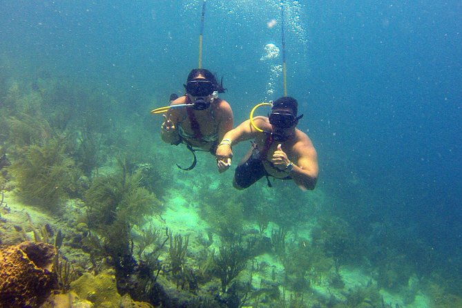 snuba-adventure-at-coral-world-ocean-park