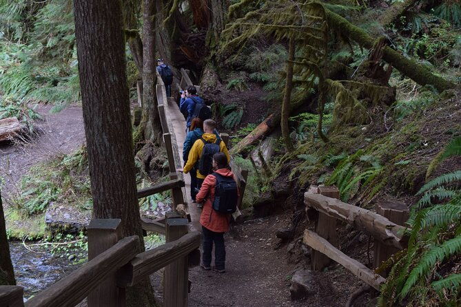 sol-duc-lake-crescent-and-hurricane-ridge-guided-tour-in-olympic-national-park
