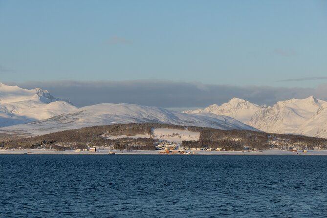sommaroy-arctic-day-trip