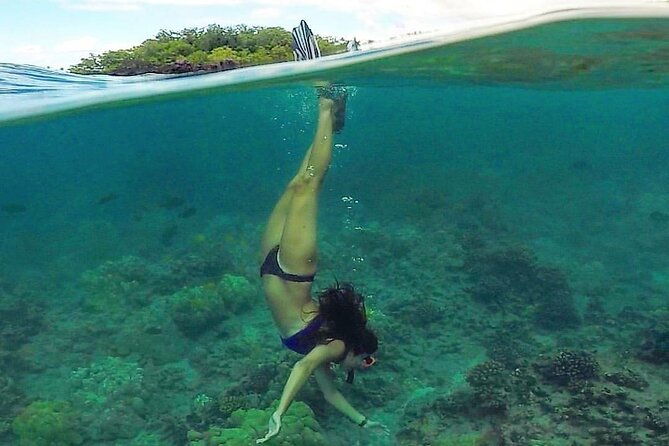 south-maui-kayak-and-snorkel-tour-with-turtles