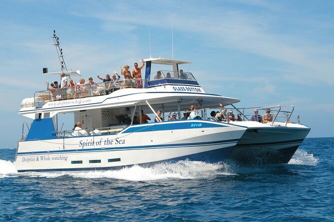 spirit-of-the-sea-cetacean-sighting-in-gran-canaria