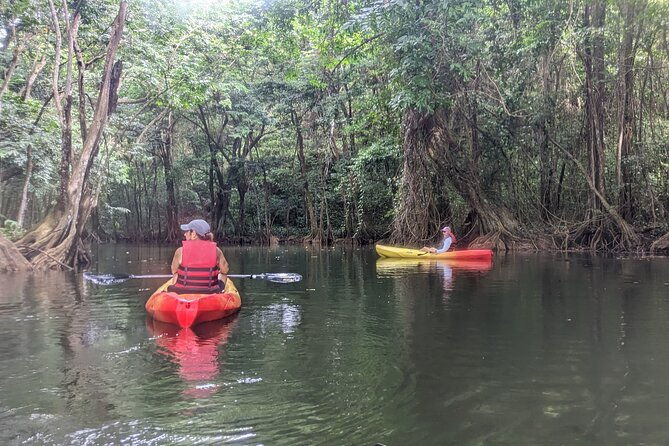 splash-adventure-jeep-and-kayak-safari