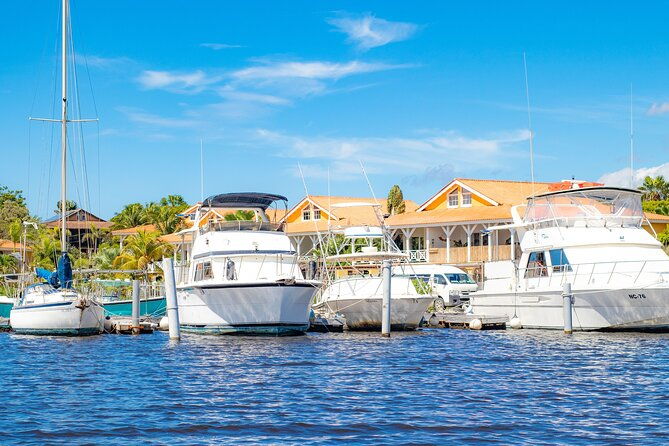 splashy-iguana-tour-in-curacao