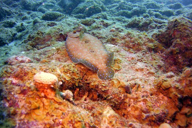 ssi-open-water-scuba-diving-course