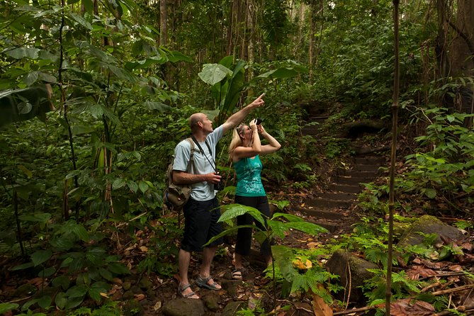 st-lucia-jacquot-trail-hike-at-rainforest-adventures