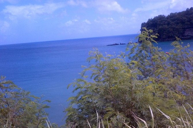 st-lucia-tet-paul-nature-trail-tour