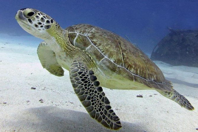 st-maarten-discover-scuba