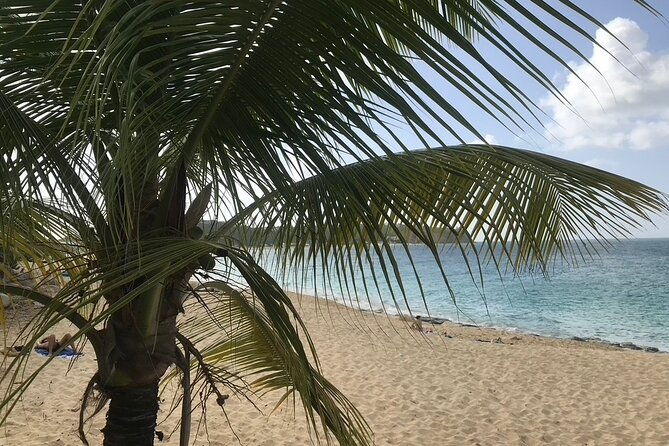 st-martin-grand-case-romantic-cruise-in-private-catamaran