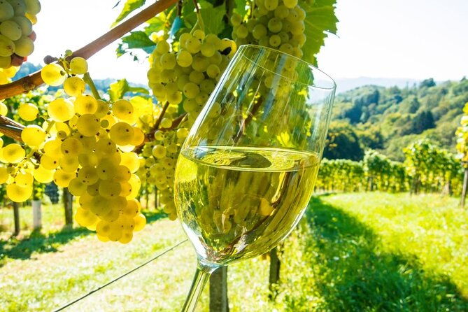 st-paul-de-vence-antibes-wine-tasting-from-cannes
