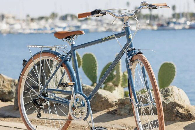 st-pete-e-bike-rentals