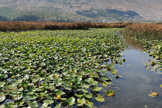 stand-up-paddle-board-or-kayak-rental-in-shkoder