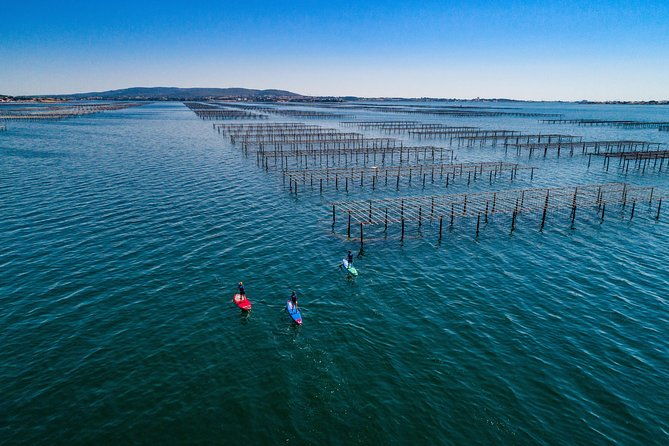 stand-up-paddle-on-laguna-of-thau-rental-sete