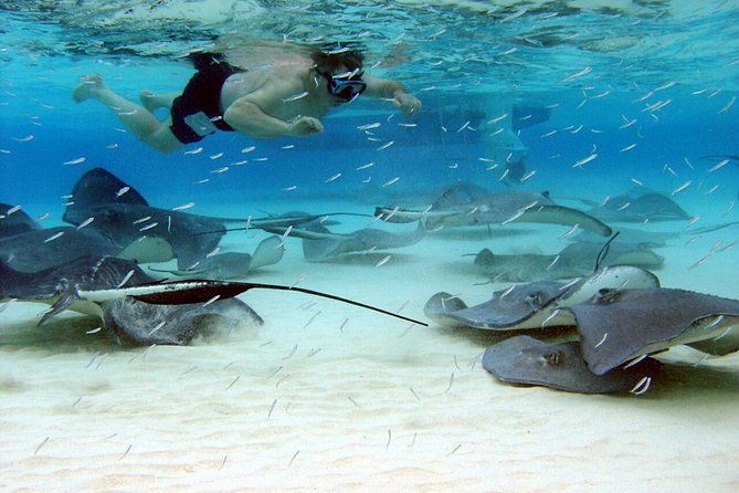 starfish-point-stingray-city-and-coral-garden-adventure