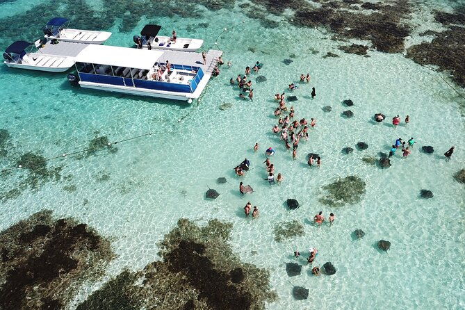 stingray-city-experience-antigua-round-trip-included