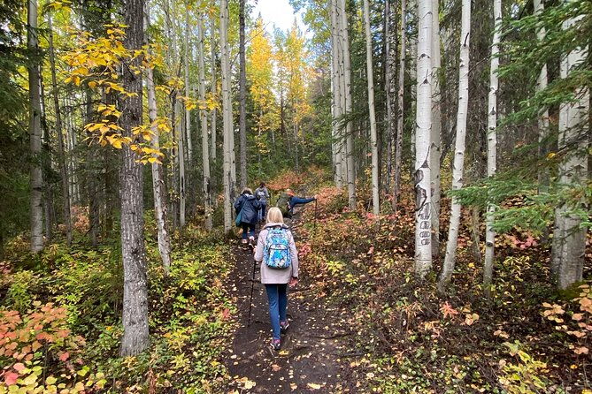 summer-valley-and-forest-hike