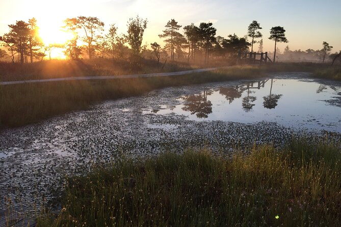 sunrise-at-kemeri-national-park