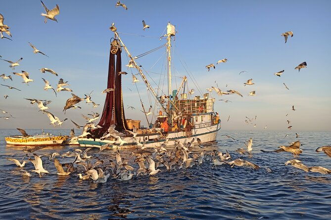 sunrise-dolphins-fishermen-at-work-speedboat-tour-in-rovinj