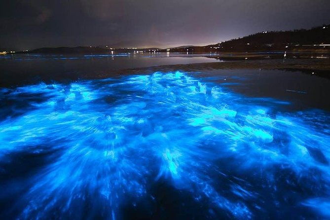 sunset-bioluminescent-comb-jelly-dolphin-tour