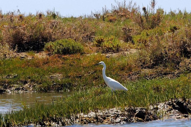 sunset-boat-trip-of-ria-formosa-an-eco-friendly-tour-out-from-faro