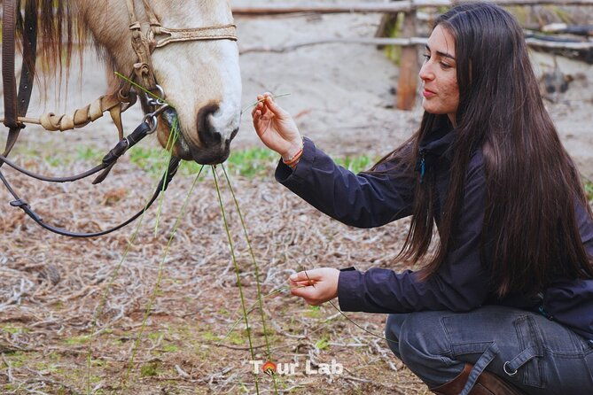 sunset-horseback-ride-on-ritoque-dunes-beach-bbq-all-inclusive