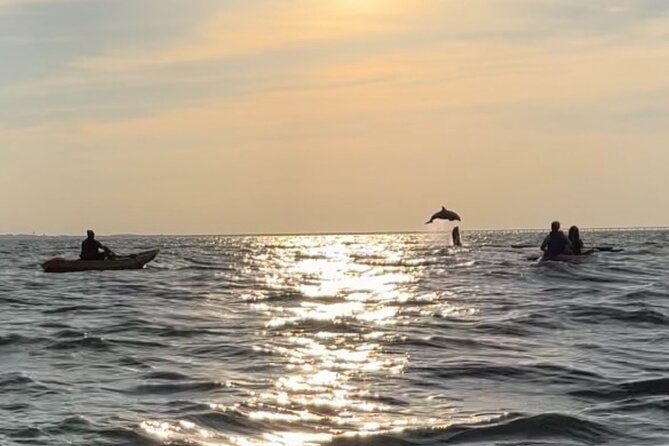 sunset-kayaking-with-dolphins-2