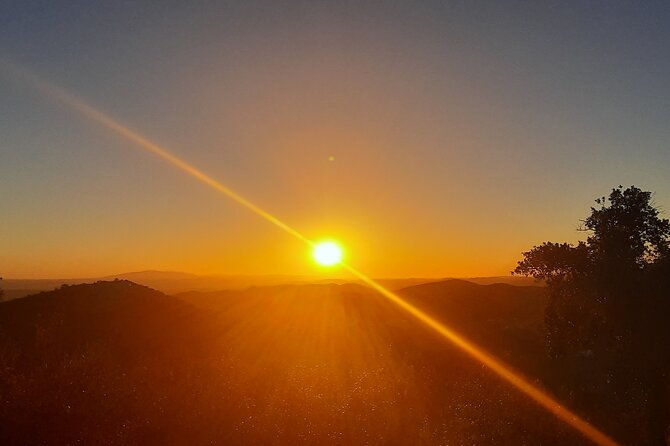 sunset-safari-4h
