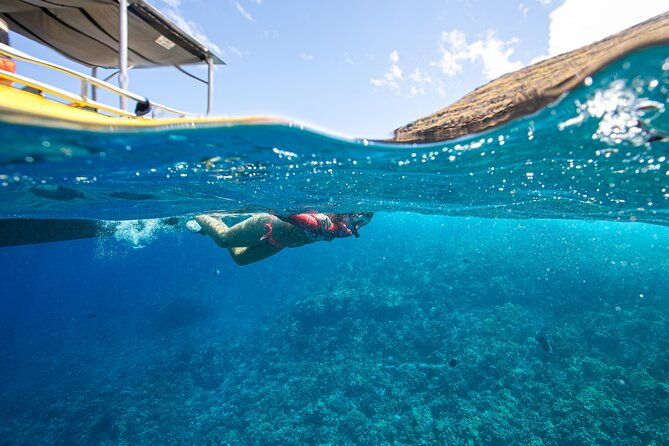 super-raft-private-charter-maui-3-hour-snorkel-to-coral-gardens-or-molokini