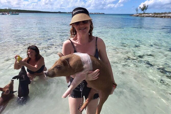 swim-with-the-pigs-and-explore-caves-in-nassau