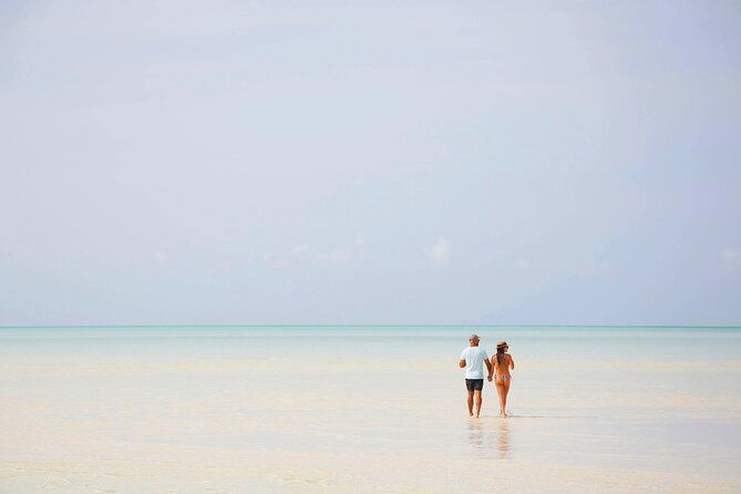 swim-with-the-pigs-half-day-harbour-island-private-boat-tour