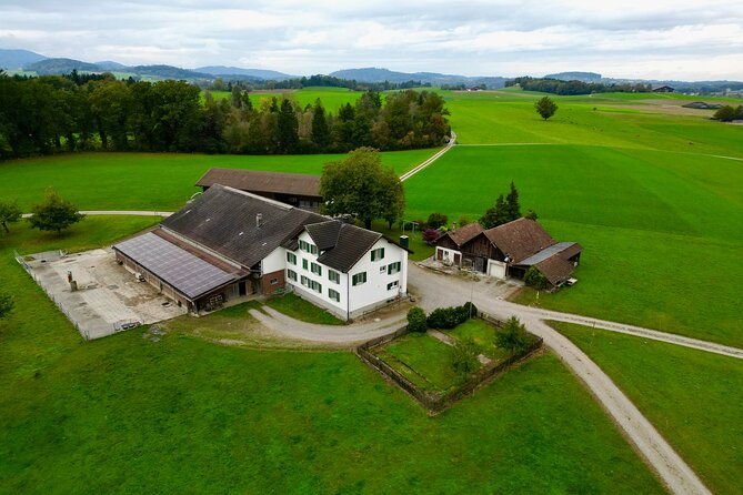 switzerland-picturebook-private-tour-farm-villages-mountains