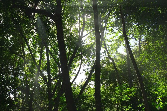 taino-valley-tropical-park-puerto-plata-tubagua