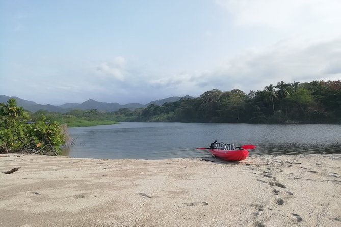taironaka-and-don-diego-river-private-tour