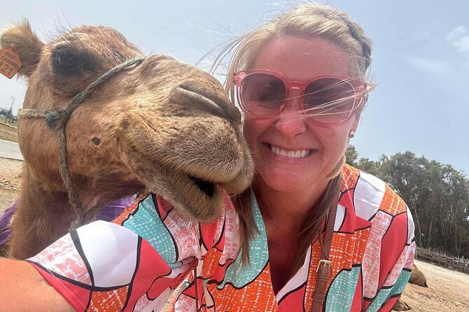 tangier-luxury-private-day-tour-from-tarifa-including-camel-ride