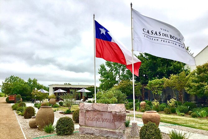 taste-10-types-of-wine-in-3-exceptional-casablancas-vineyards