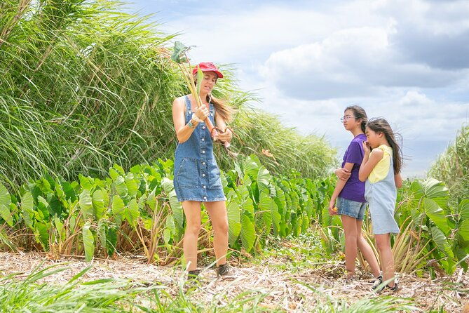 taste-of-hawaii-a-maui-farm-tour