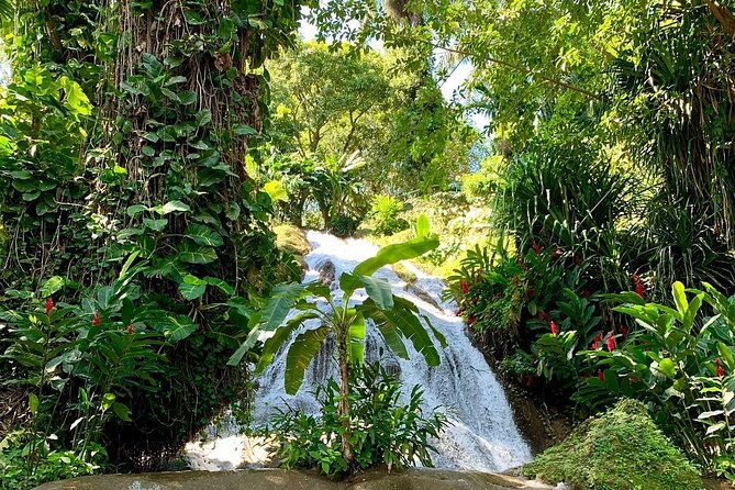 taste-of-jamaica-food-tour-from-ocho-rios