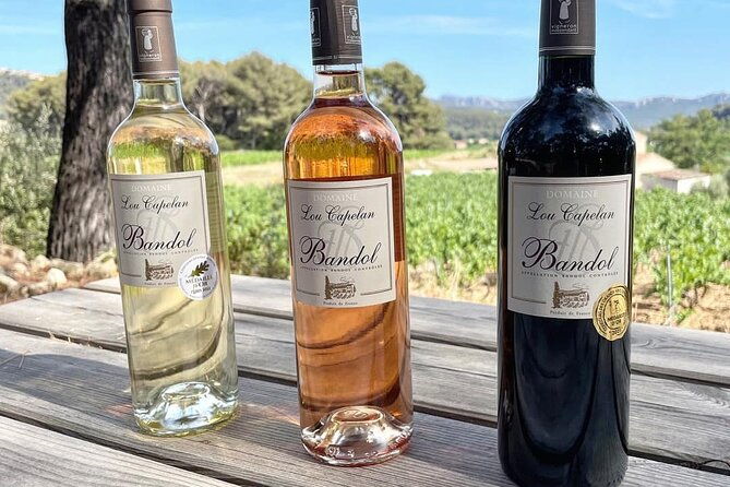 tasting-bandol-wines-visit-of-cellar-in-english