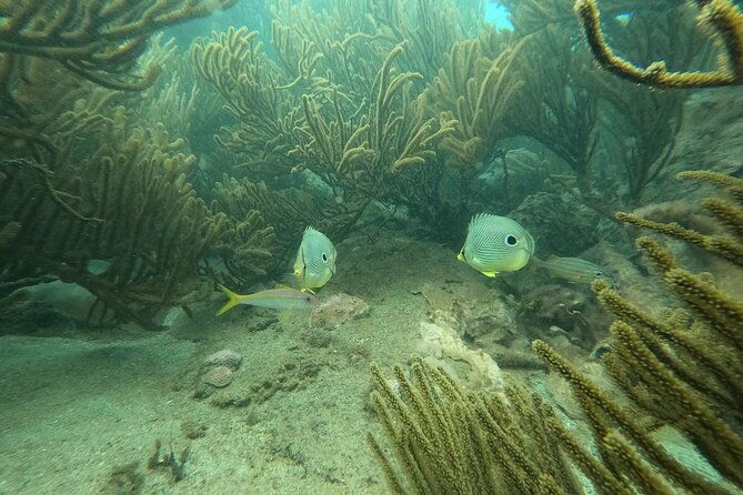 tayrona-snorkel-beach