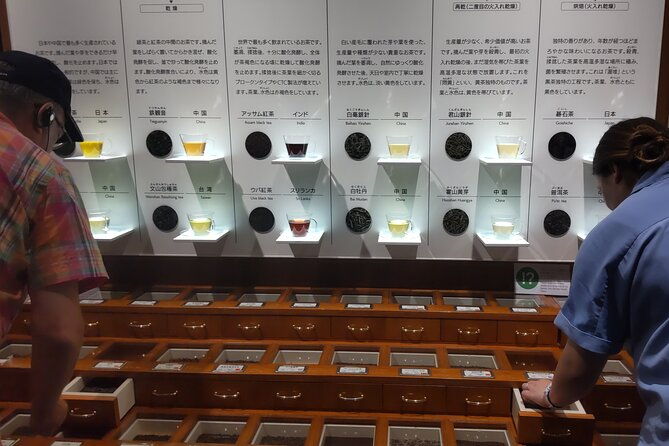 tea-museum-shizuoka-and-guinness-world-records-bridge-c-g