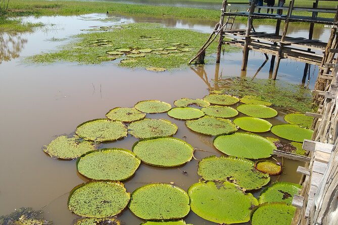 the-amazon-beauties-with-the-best-river-attractions-group-tour