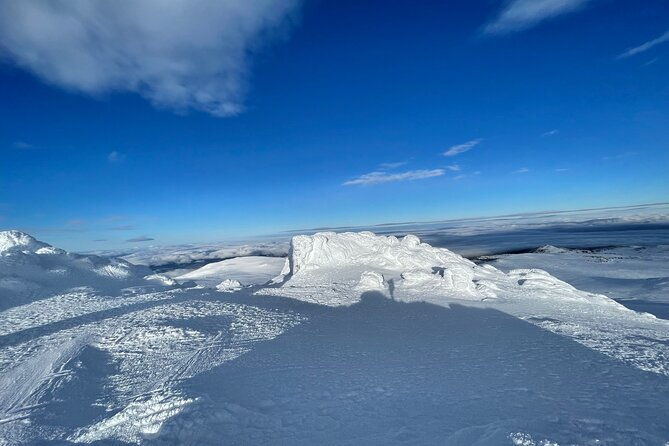 the-best-of-sofia-magical-snowshoeing-adventure-in-vitosha-spa-2
